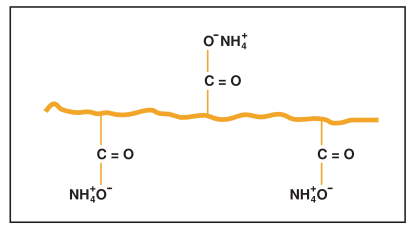 carbopol_02.gif